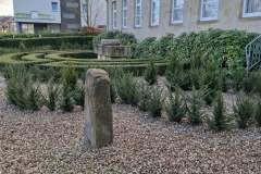 34ac7f56-ec93-4fc3-82e0-c546187cd779