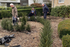 bec75033-abcb-4fed-a1c5-af12195a519c