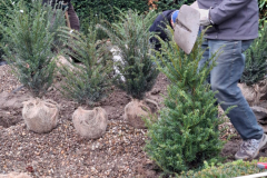 e9cb67c0-32d2-4aec-9499-3217a0f52850