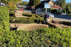 f09ba136-3c83-48ce-ad90-f2f6e39a953b