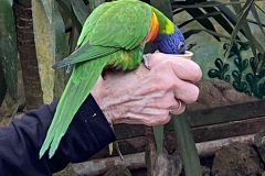 IMG_3249